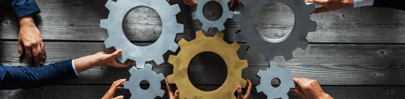 capacity-building-banner